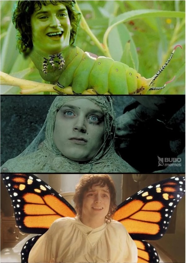 Memes For ''The Lord Of The Rings'' Fans (34 pics)