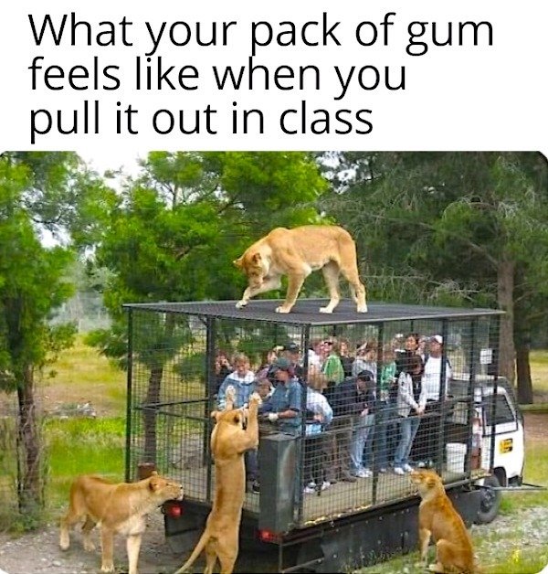 Funny Memes (40 pics)