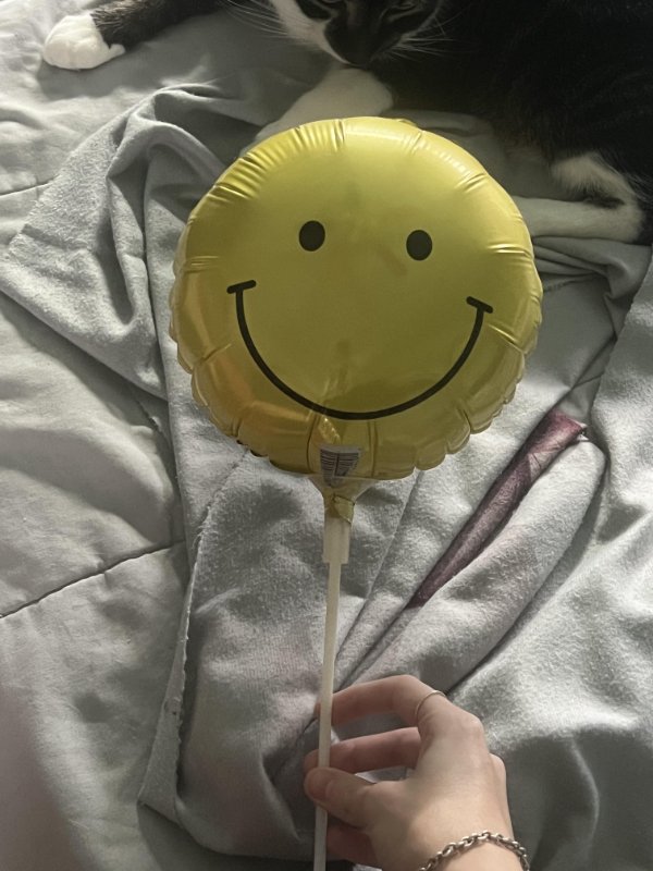 Interesting Finds (23 pics)