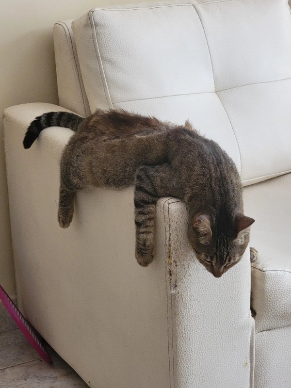 Interesting Finds (23 pics)