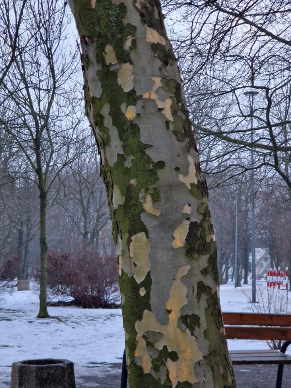 Interesting Finds (23 pics)