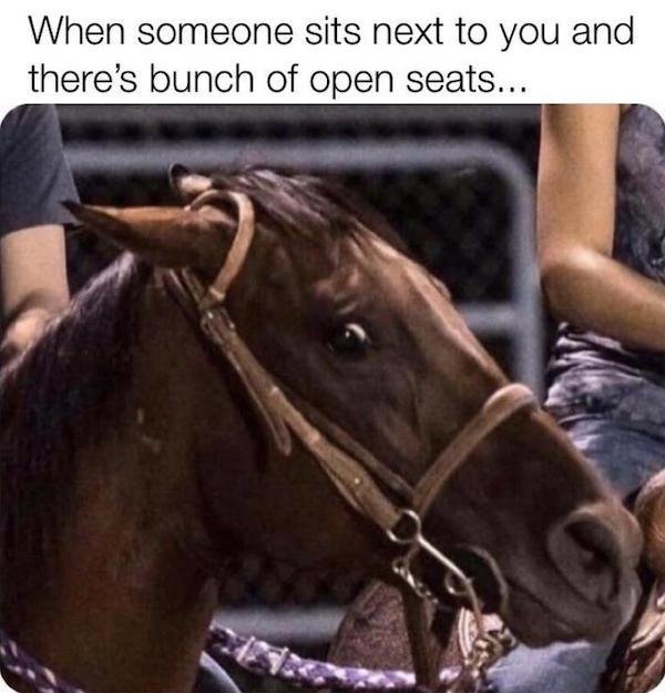 Funny Memes (40 pics)