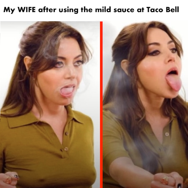 Funny Memes (40 pics)