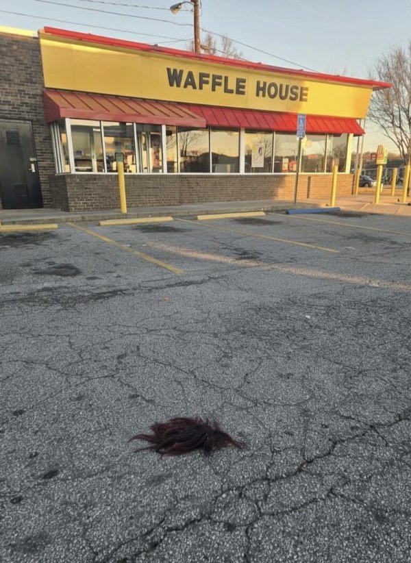 What Is Going On Here? (42 pics) What Is Going On Here? (42 pics)