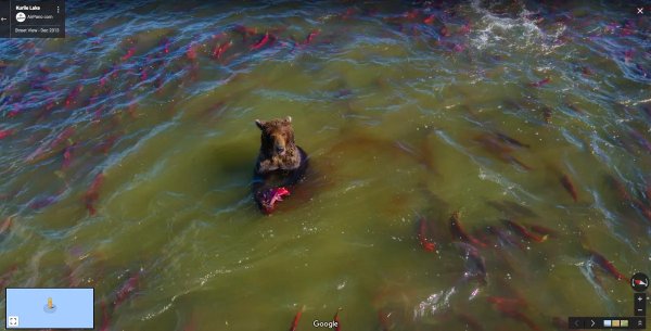 Weird Photos From Google Street View (22 pics)