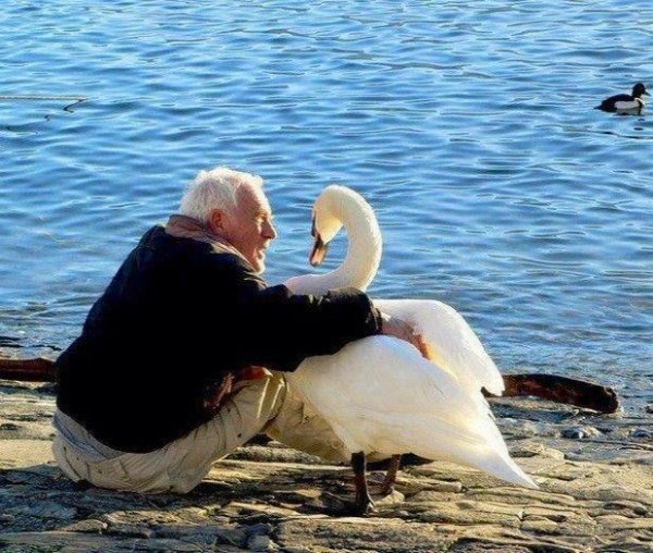 Photos For A Good Mood (27 pics)