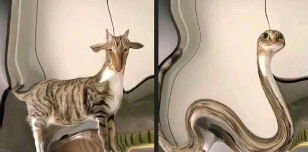 What Is Going On Here? (42 pics) What Is Going On Here? (42 pics)