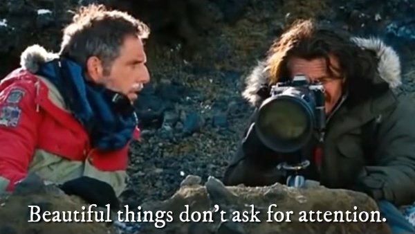 Photos For A Good Mood (27 pics)