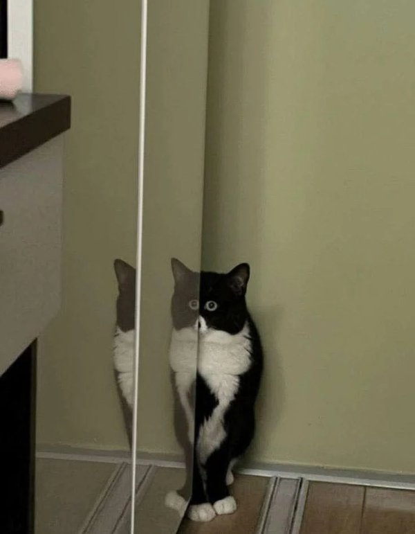 What Is Going On Here? (42 pics) What Is Going On Here? (42 pics)