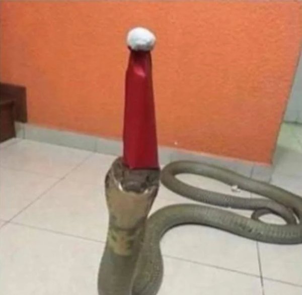 What Is Going On Here? (42 pics) What Is Going On Here? (42 pics)