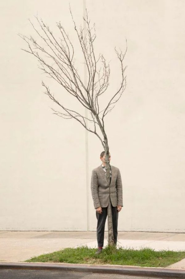 What Is Going On Here? (42 pics) What Is Going On Here? (42 pics)