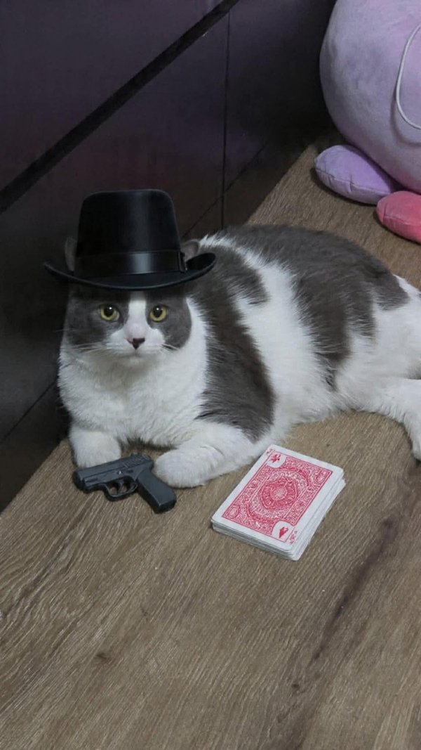 What Is Going On Here? (42 pics) What Is Going On Here? (42 pics)