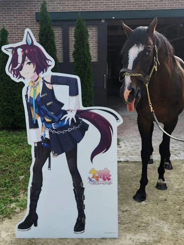 What Is Going On Here? (42 pics)