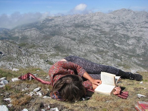 Photos For A Good Mood (27 pics)