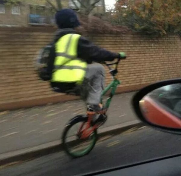 What Is Going On Here? (42 pics) What Is Going On Here? (42 pics)