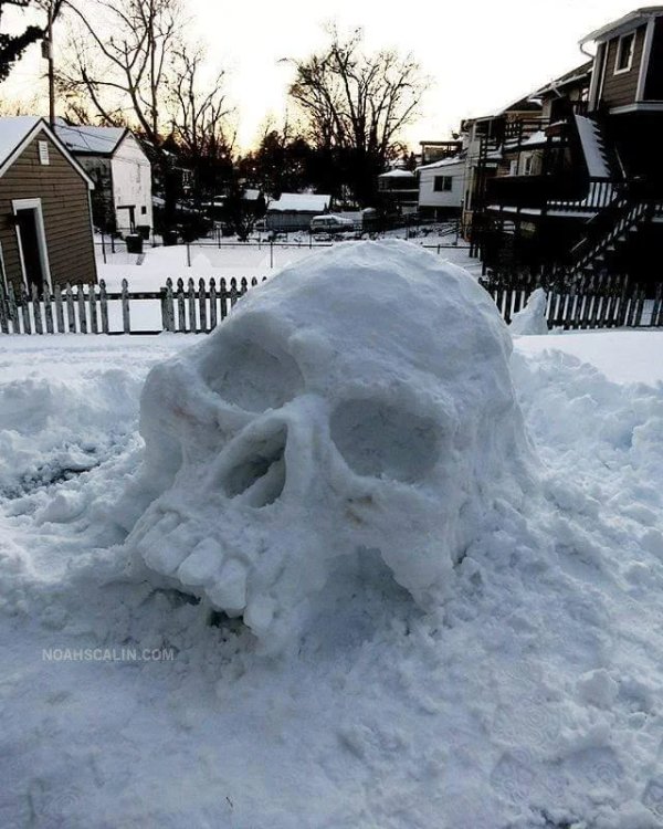 What Is Going On Here? (42 pics) What Is Going On Here? (42 pics)