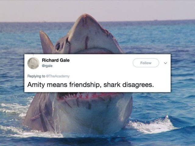 Funny Comments And Reviews (16 pics)