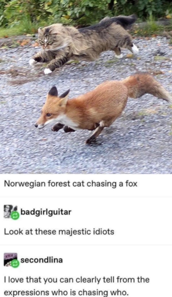 Kind Jokes And Posts (45 pics)