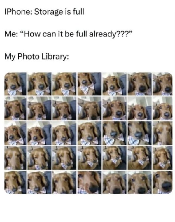 Kind Jokes And Posts (45 pics)