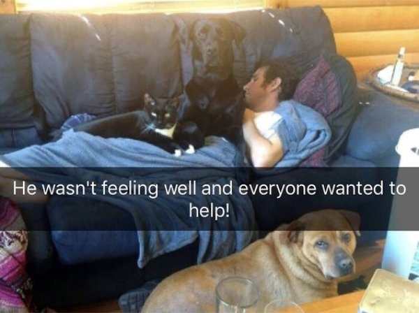 Kind Jokes And Posts (45 pics)