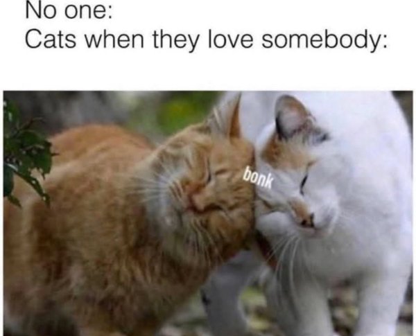 Kind Jokes And Posts (45 pics)