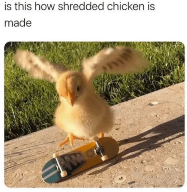 Kind Jokes And Posts (45 pics)