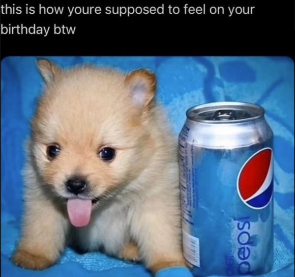 Kind Jokes And Posts (45 pics)