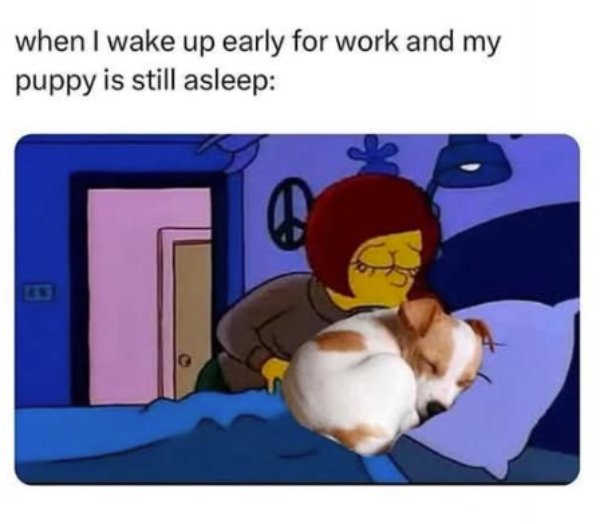 Kind Jokes And Posts (45 pics)