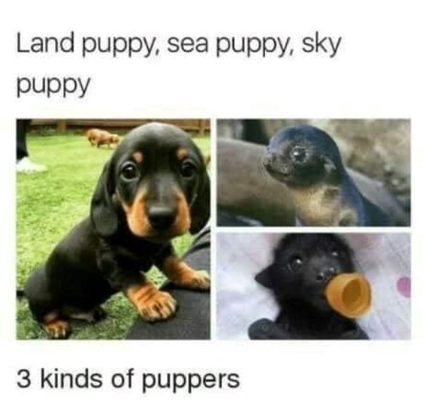 Kind Jokes And Posts (45 pics)