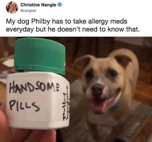 Kind Jokes And Posts (45 pics)