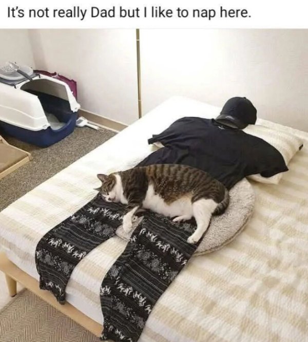 Kind Jokes And Posts (45 pics)