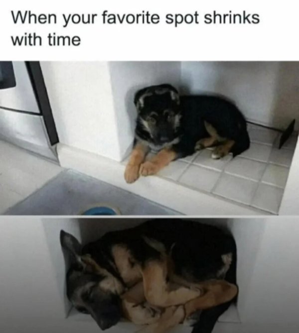 Kind Jokes And Posts (45 pics)