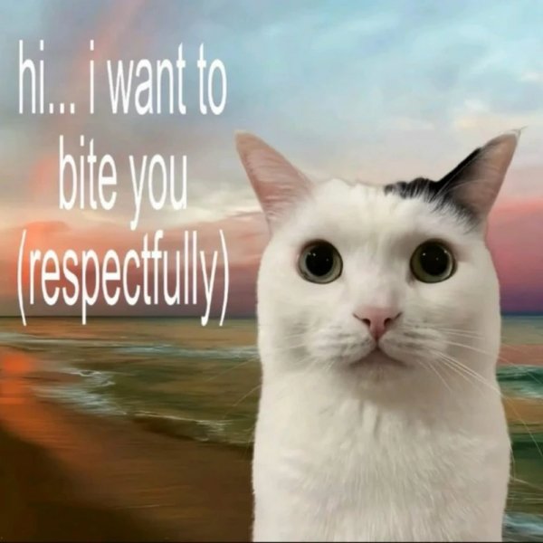 Relationship Memes (43 pics)