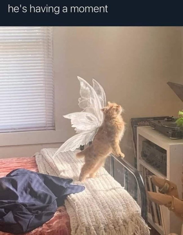 Kind Jokes And Posts (45 pics)