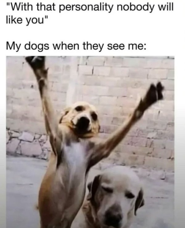 Kind Jokes And Posts (45 pics)