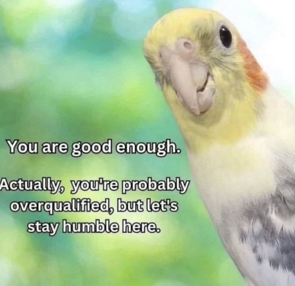 Kind Jokes And Posts (45 pics)