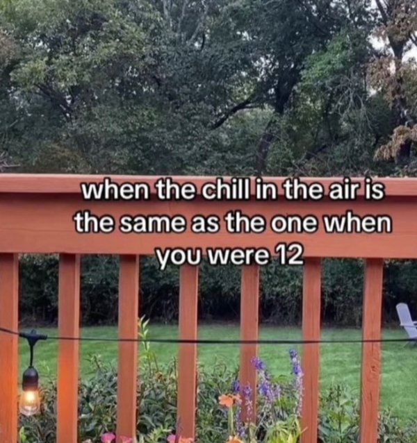 Kind Jokes And Posts (45 pics)