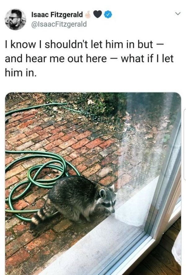 Kind Jokes And Posts (45 pics)