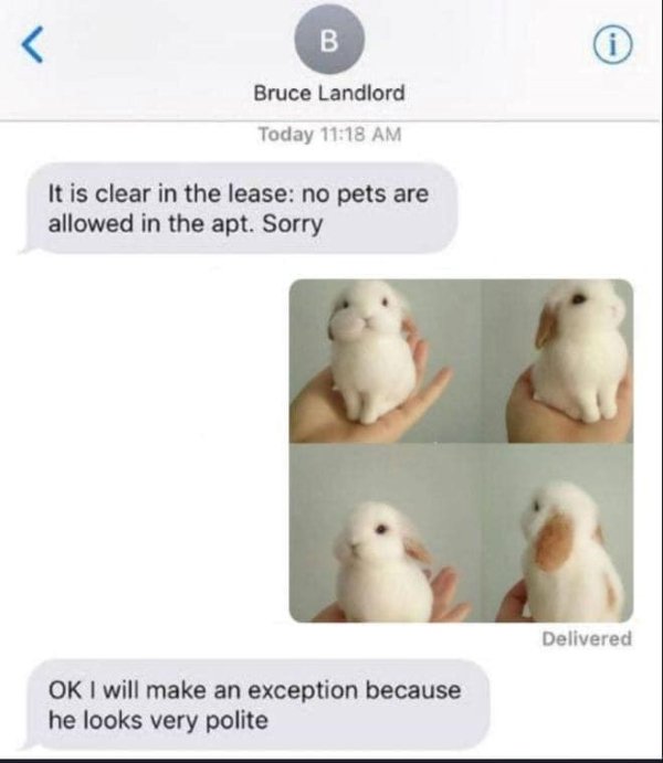 Kind Jokes And Posts (45 pics)