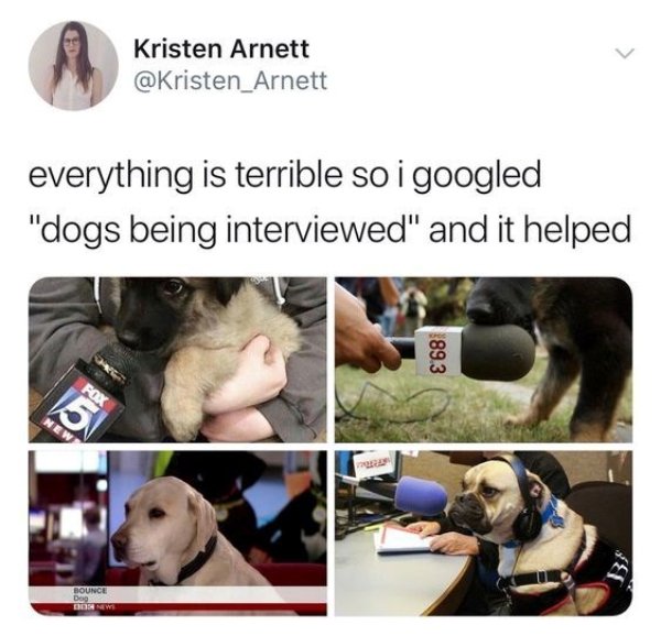 Kind Jokes And Posts (45 pics)