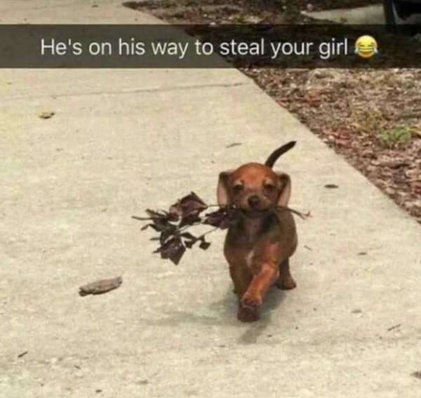 Kind Jokes And Posts (45 pics)