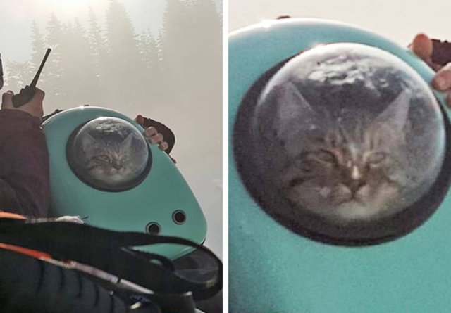 Weird Finds And Discoveries (19 pics)