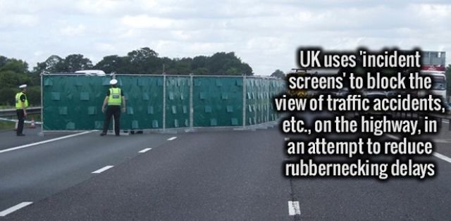 Random Facts (32 pics)