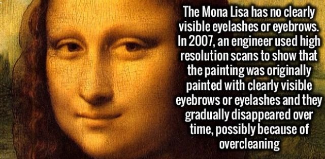 Random Facts (32 pics)