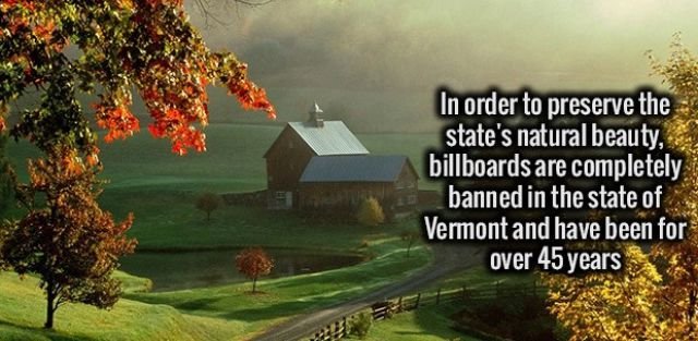 Random Facts (32 pics)