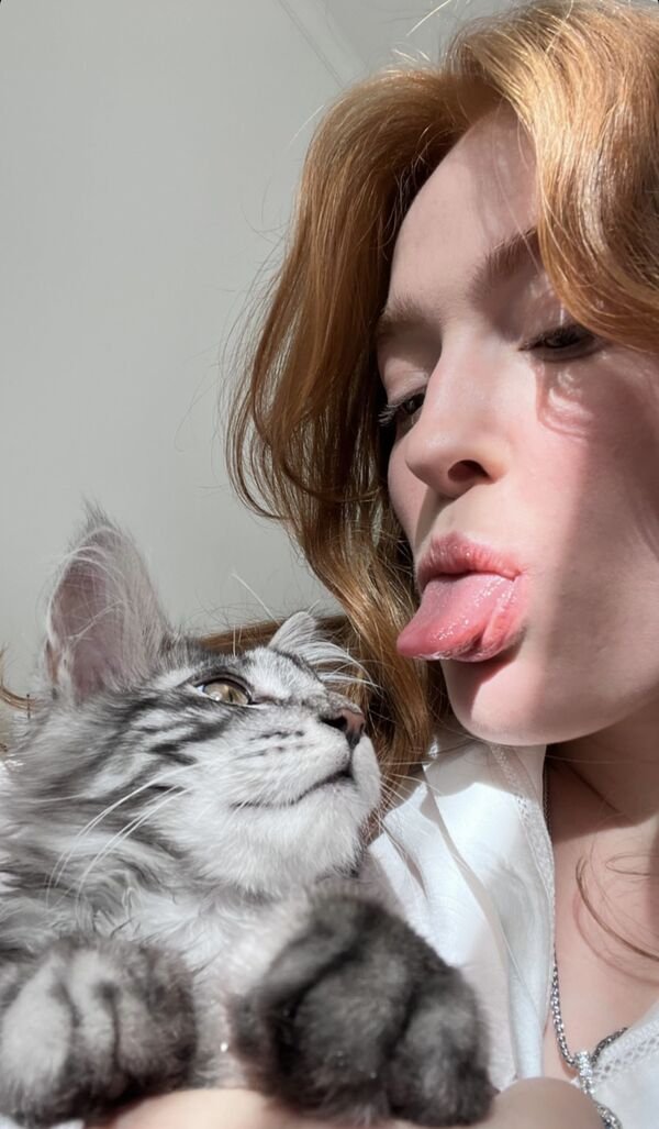 Jokes And Photos For Cats Lovers (43 pics)