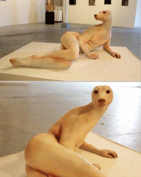 Pictures And Jokes For A Good Mood (27 pics)