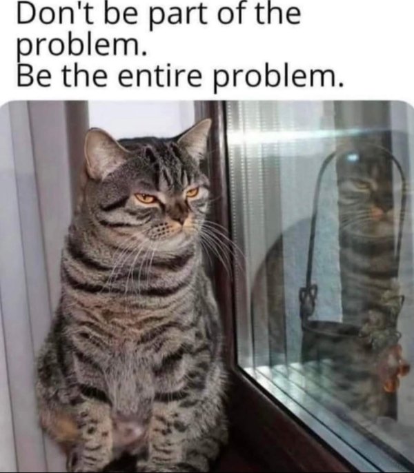 Jokes And Photos For Cats Lovers (43 pics)