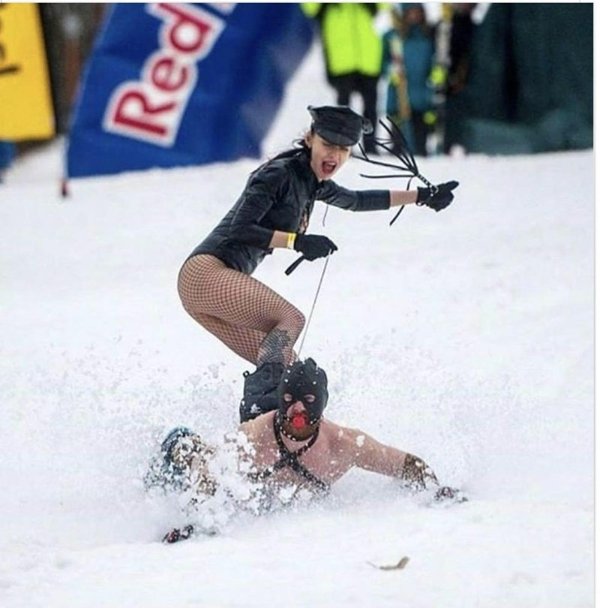 Pictures And Jokes For A Good Mood (27 pics)