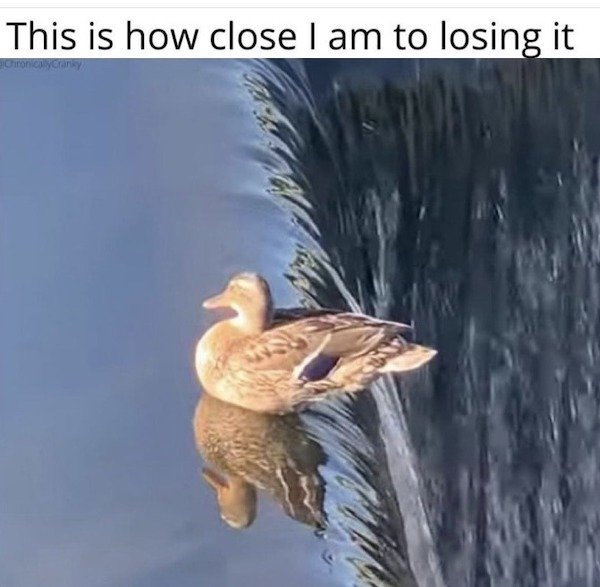 Hilarious Jokes (39 pics)